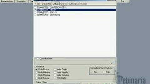 Erro Consulta Estoque
