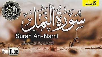 سورة النمل معاذ صيام كامله بصوت جميل ارح قلبك 😴 ❤️ لمن يبحث عن الراحه النفسيه فهذا الفيديو لك