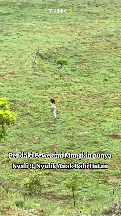 Berani - beraninya Culik Anak Babi Hutan Dikejar Sama Induknya #videoviral #videolucu #kocak #ngakak