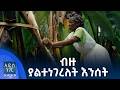 ብዙ ያልተነገረለት እንሰት፣ መስከረም 25, 2018 What's New Oct 05, 2026