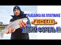 |Рыбалка в Подмосковье 2021| Ловля форели осень 2021| Загородный клуб FISHERIX| Рыбалка на платнике|