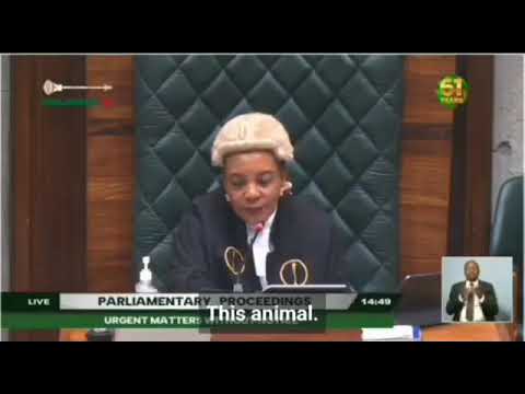 Lundazi Member Of Parliament Brenda Nyirenda