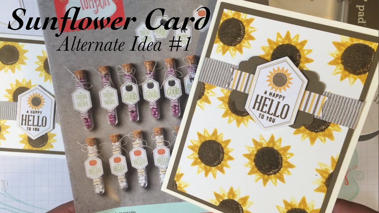 UnBoxing & Alternate Card Idea #1: September 2016 Paper Pumpkin Kit ...