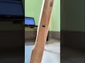 ghế bệt gấp gọn