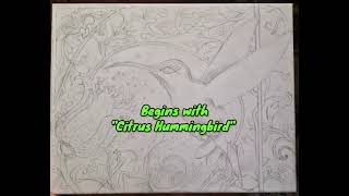 Citrus Hummingbird! Citrus Hummingbird!