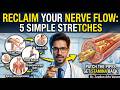 5 Simple Stretching Exercises to Improve Nerve Flow and Stamina | Dr Zayden Arlo Vance