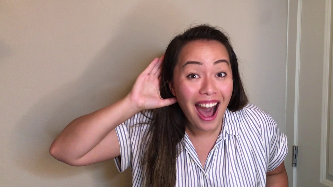 Zebra English Introduction Video YouTube