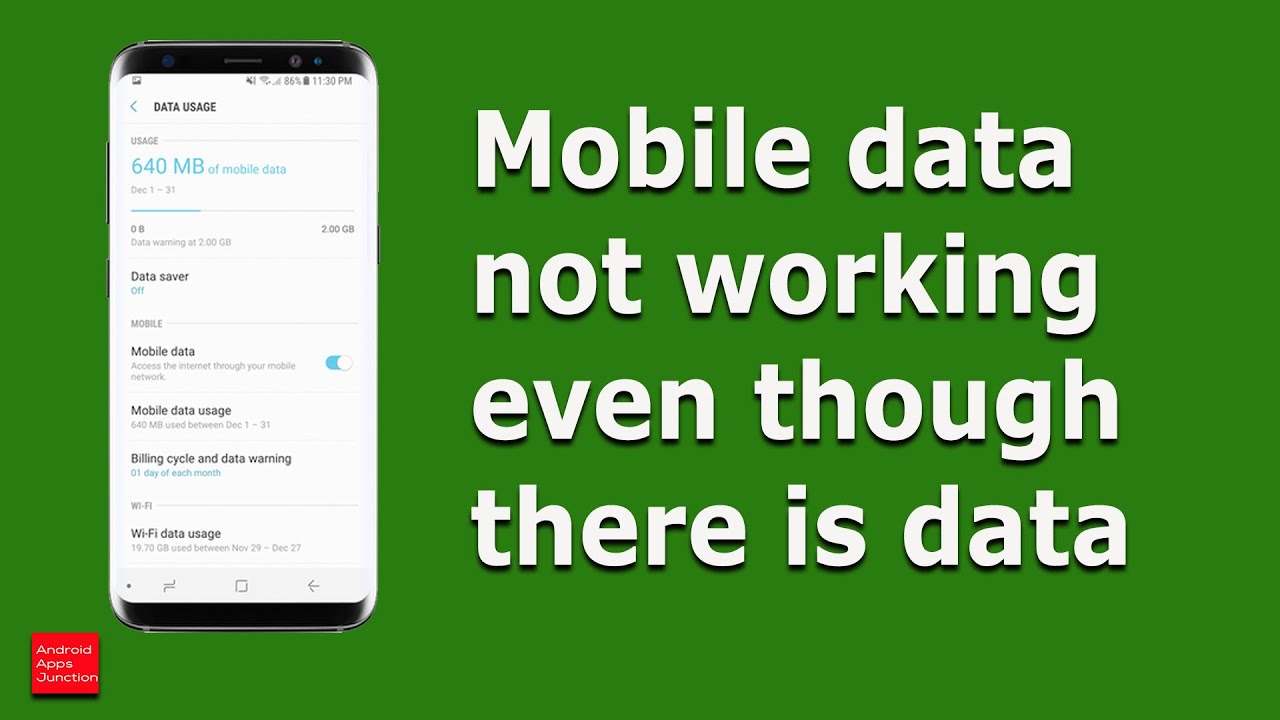 Why mobile data is not showing?