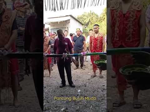 PEMBUKAAN GAWAI DAYAK 2022 ( PANCUNG BULUH MUDA OLEH BUPATI SANGGAU ) 7 JULI 2022 SANGGAU, KALBAR
