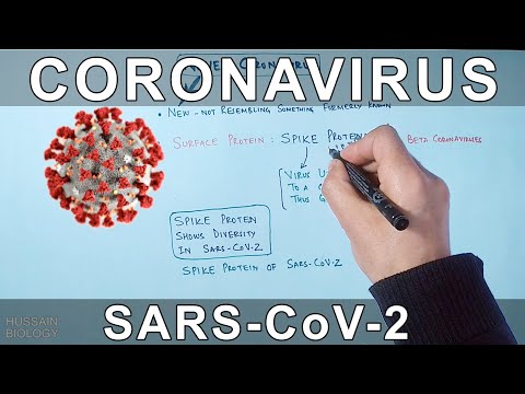 Video: Cum Se Pune în Carantină Un Virus