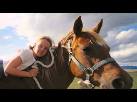 philip glass metamorphosis pdf Hidden World of Girls preview