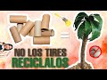 RECICLANDO TUBITOS DE CARTÓN | MANUALIDAD DE PALMERA DE COCO | DIY | 🌴🥥