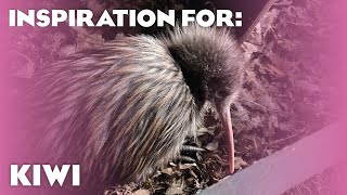 5(ish) Real North Island Brown Kiwi Habitats! (Planet Zoo: Oceania Pack Inspiration)