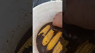 Nueva reseta para los puercos salvajes