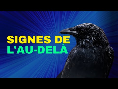 Si ces 15 animaux croisent votre route, c'est que vous êtes contacté par « l’au-delà »