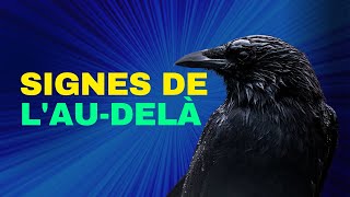 Si ces 15 animaux croisent votre route, c'est que vous êtes contacté par « l’au-delà »