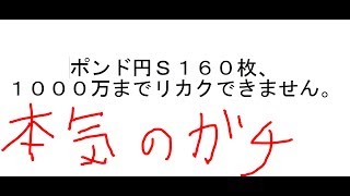 1000 ポンド は 日本 円 で いくら