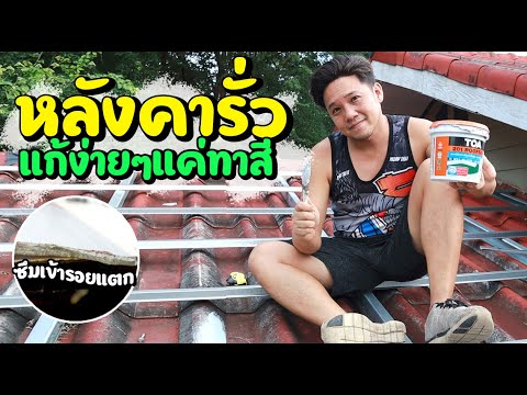 หลังคารั่วหน้าฝนแก้ง่ายๆ EP2 ทาสี TOA 201 Roofseal l T3B DIY