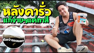 หลังคารั่วหน้าฝนแก้ง่ายๆ EP2 ทาสี TOA 201 Roofseal l T3B DIY