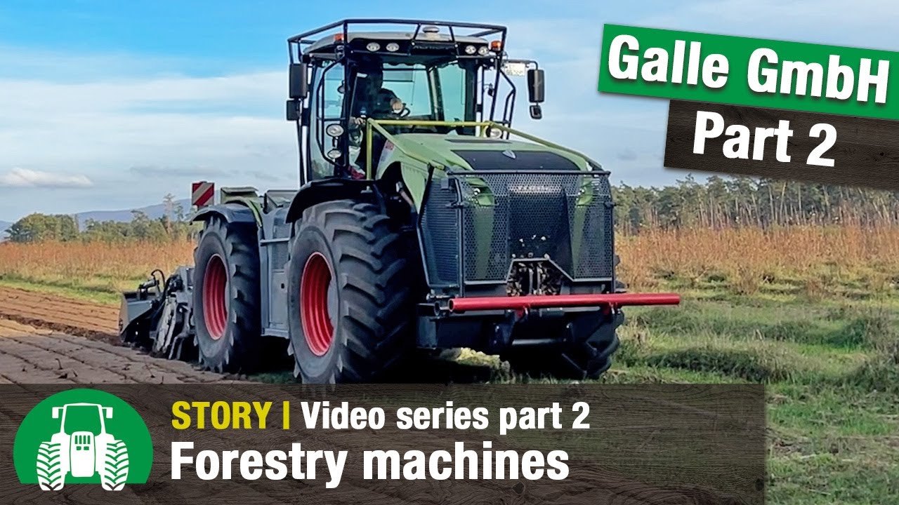 Albach Tree Work Timber harvest and forestry work with Galle GmbH | Harvester ...