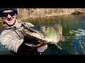 Bank fishing muskies in late winter with glide baits