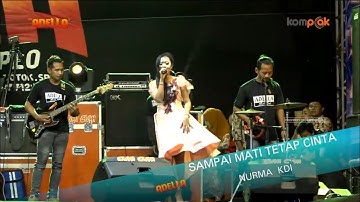 SAMPAI MATI TETAP CINTA | NURMA KDI | OM ADELLA