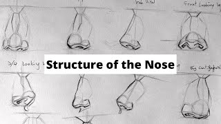 How to draw noses- understanding the structure of the nose