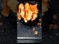 Macaroni and cheese spring rolls #cooking #asmr