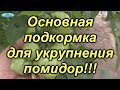 Томаты будут крупными, если провести эту подкормку!!!!