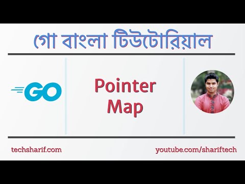 1.6.6 Pointers with Maps | go | golang | bangla