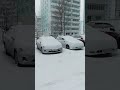 Пасхальный снег в Новосибирске (20.04.2025)#новосибирск