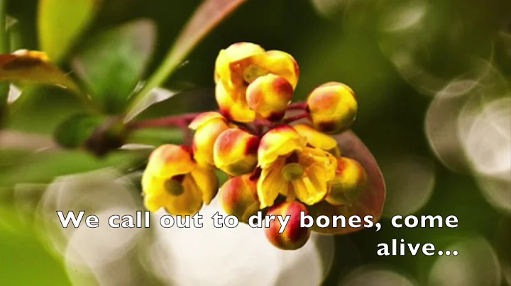 Come Alive (Dry Bones) with lyrics Lauren Daigle