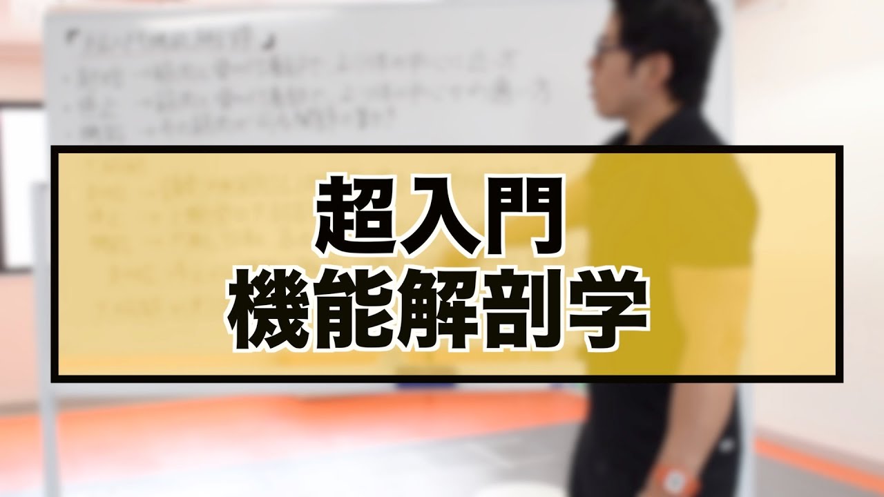 超入門機能解剖学 - YouTube