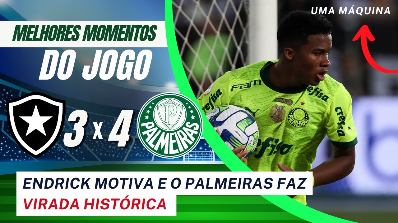 BOTAFOGO 3 X 4 PALMEIRAS | MELHORES MOMENTOS | VIRADA HISTÓRICA - YouTube