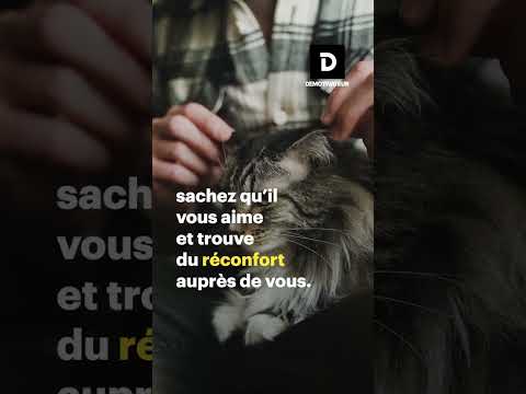 Comment savoir si