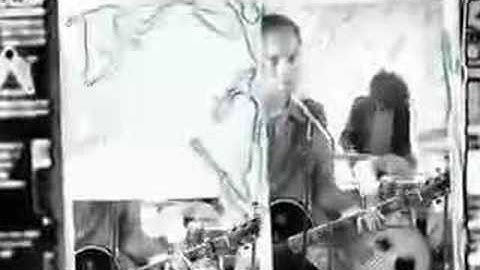 Rogue Wave - Publish My Love (OFFICIAL VIDEO)