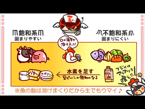 生化学(化学)９話「脂肪」