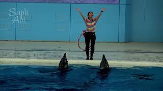 Beluga Whale Show At Yokohama Hakkeijima Sea Paradise 【4K】