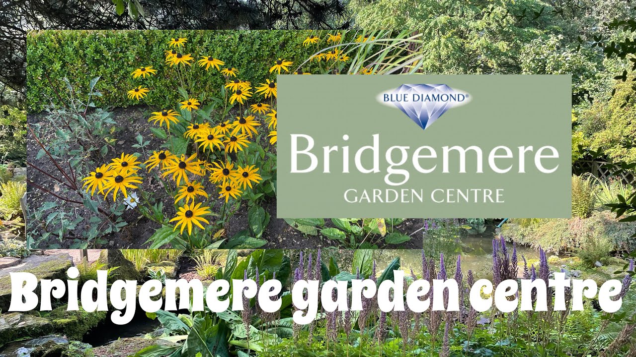 Bridgemere Garden Centre YouTube
