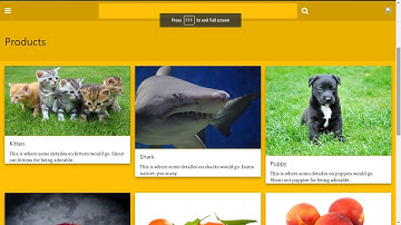 laravel 5,4 and vuejs 2 1 x Displaying the product data in vue files implementing w3.css
