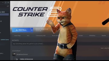 How many hours do you have on CS2?