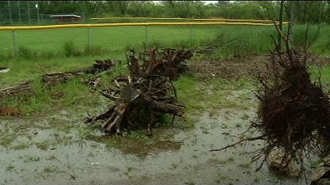 More debris dumped at Brooklyn Center Little League fields