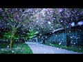 Most Beautiful Epic Music: "Spring of Seoul" by Jessie Yun