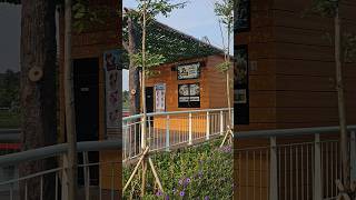 Interactive zoo di Sunset avenue citra 8 #interactivezoo