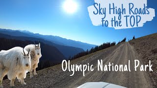 TOP of Olympic National Park  Sky HIGH Roads  Deer Park and Obstruction Point in Hurricane Ridge