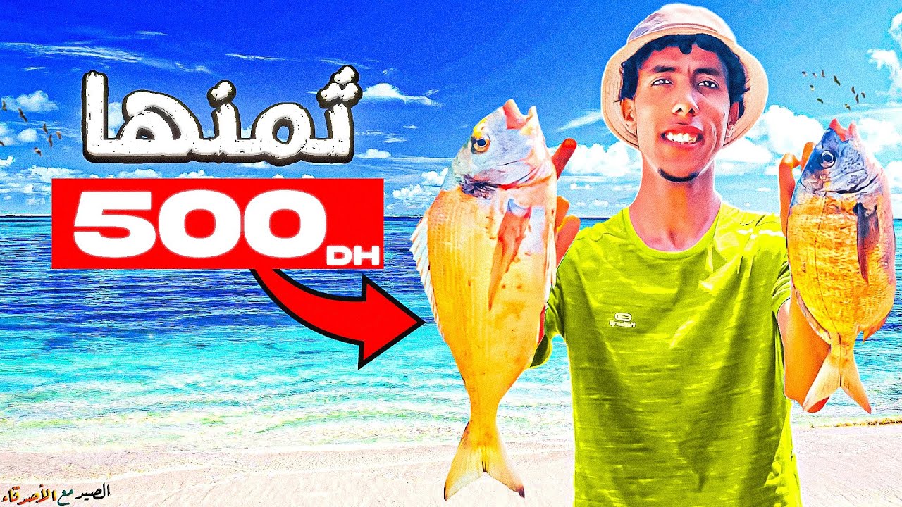 شاهد طريقة :  الصيد أكبر أسماك الدورادة 👑  و الشرغو🐠 في بحر مهجور🏕 (صيد و الطبخ )..🤯