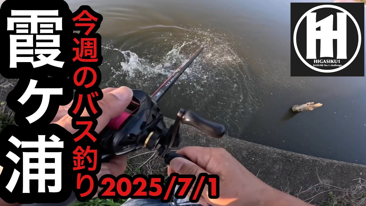 バズベイトこれだからやめられない⁈今週のバス釣り！2025年7月1日