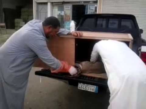صيدلية الانعام البيطريه بنجرآن