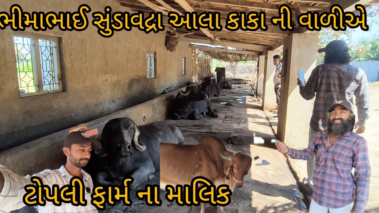 ટોપલી ફાર્મ ના માલિક આલા કાકા ની વાળીએ ભીહુ ની વિજીટ મા 🤗🤗