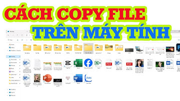 Cách copy file trên máy tính vô cùng đơn giản